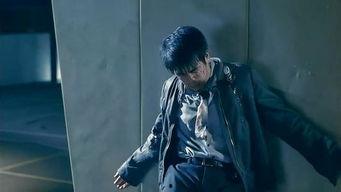 杀破狼1粤语在线观看,热血激战，探秘江湖传奇  第2张